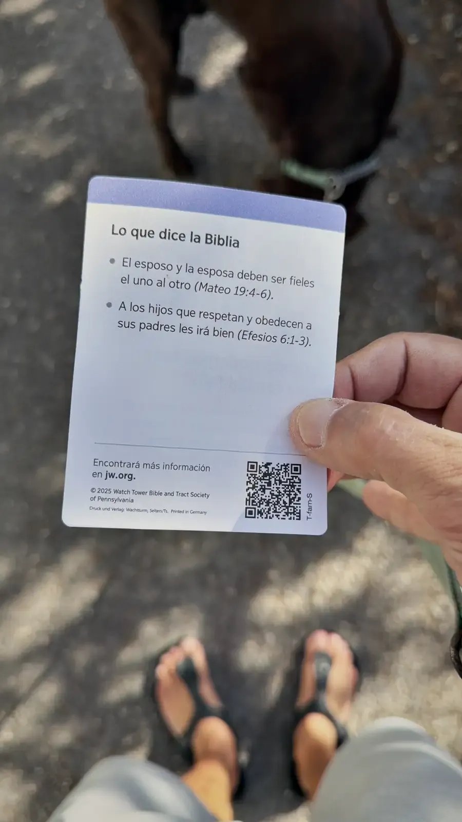 De Spaanse flyer die ik op straat kreeg