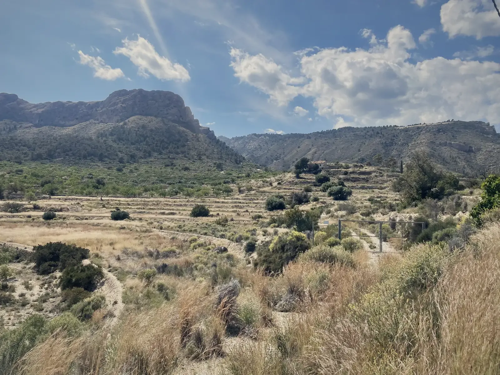 Spaans berglandschap met terrassen en amandelbomen