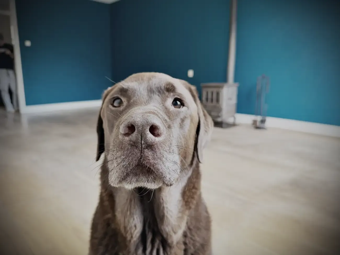 Mo in de lege woonkamer, vlak voor de lens