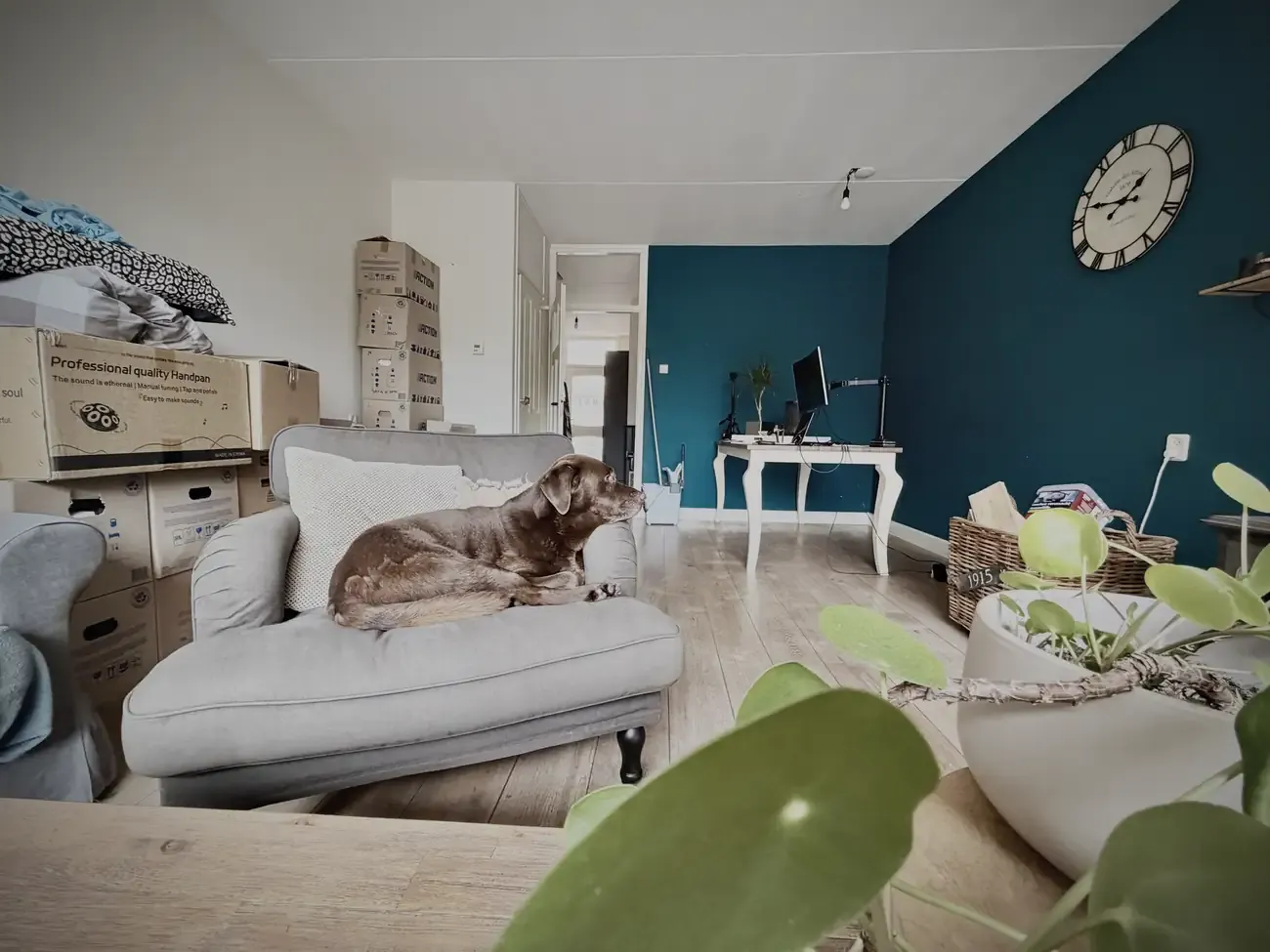 De woonkamer met dozen en Mo slapend op de bank